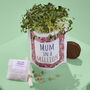 Personalised 'Mum In A Million' Mother's Day Gift, thumbnail 1 of 11