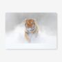 Placemats Featuring A Siberian Amur Tiger, thumbnail 1 of 2