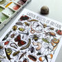Garden Insects Of Britain Watercolour Postcard, thumbnail 4 of 12