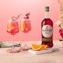 Gin And Sommer Spritz Hamper, thumbnail 3 of 9