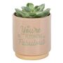 You're Blooming Fabulous Plant Pot, thumbnail 2 of 3