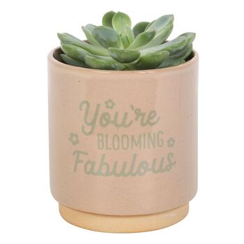 You're Blooming Fabulous Plant Pot, 2 of 3