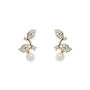 Aphrodite Rhodium, Gold Or Rose Gold Plated Earrings, thumbnail 3 of 11