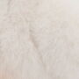 Cream Goose Soft Snuggly Toy In Gift Packaging, thumbnail 2 of 8