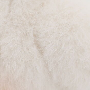 Cream Goose Soft Snuggly Toy In Gift Packaging, 2 of 8