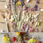 Wildflower Bright Cut Dried Flowers Letterbox Gift, thumbnail 6 of 9
