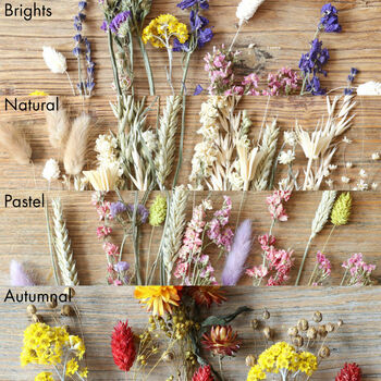 Wildflower Bright Cut Dried Flowers Letterbox Gift, 6 of 9