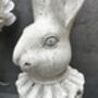 37cm Off White Stone Effect Rabbit Bust Statue Ornament, thumbnail 12 of 12