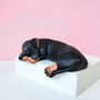 Sleeping Dachshund Sculpture, thumbnail 1 of 7