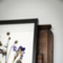 Wild Fade Original Pressed Flower Art In A3 Black Frame, thumbnail 4 of 8