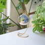 Diy Air Plant Terrarium Kit Hanging Terrarium Gift Blue Moss With Optional Gold Stand, thumbnail 2 of 7