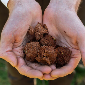 Make Your Own Seed Bombs Cornflower Seed Kit, 7 of 8
