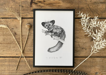 A Is For Aye Aye Illustration Print, 3 of 6