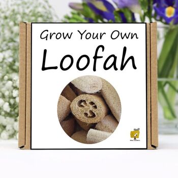 Gardening Gift For Her. Grow Your Own Loofah, 2 of 4