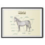 Anatomy Of A Horse Art Print By Sophie Corrigan, thumbnail 2 of 4