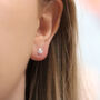 Sterling Silver Rose Stud Earrings, thumbnail 3 of 3