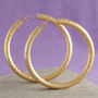 Thick Hammered Hoop Earrings In Gold Plate And Silver, thumbnail 5 of 6