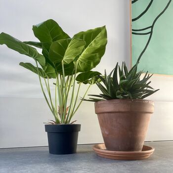 Artificial Calathea Plant In Black Pot, 6 of 6