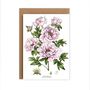 Botanical Peony Card, thumbnail 2 of 2