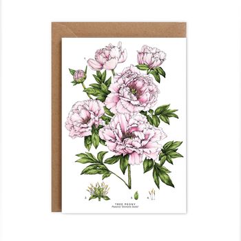 Botanical Peony Card, 2 of 2