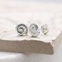 Sterling Silver Ammonite Shell Stud Earrings, thumbnail 4 of 10