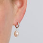 Pearl Hoop Stud Earrings, thumbnail 1 of 5