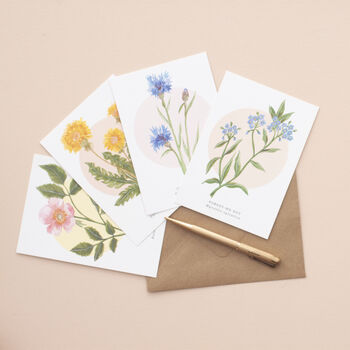 British Wild Flowers Illustrated Notelet Set, 4 of 12