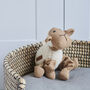 Woolliam The Lamb Dog Toy, thumbnail 3 of 5