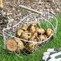 Personalised Home Grown Potatoes Gardening Basket, thumbnail 1 of 7