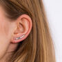 Silver Or Gold Plated Rainbow Climber And Cuff Earrings, thumbnail 1 of 9