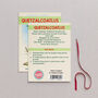 Wooden Quetzalcoatlus Dinosaur Christmas Tree Decoration, thumbnail 2 of 3