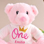 1st Birthday Pink Teddy Bear, thumbnail 3 of 3