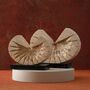 Set Of Two Travertine Half Moon Sculptures On Black Marble Bases, thumbnail 1 of 2