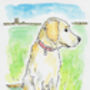 Personalised Pet Portrait, thumbnail 6 of 12