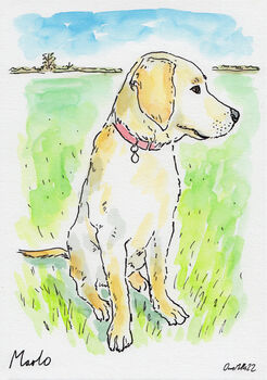 Personalised Pet Portrait, 6 of 12