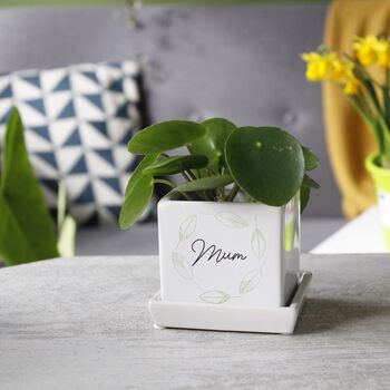 Personalised Mini Cube Plant Pot For Mum, 10 of 10