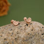 Sterling Silver Ammonite 16 G Flat Back Labret Earrings, thumbnail 4 of 12