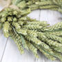 Handmade Natural Wheat Wreath, thumbnail 3 of 12