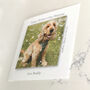 Personalised Dog Father's Day Photo Magnet Card, thumbnail 2 of 5