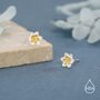 Sterling Silver Water Lily Stud Earrings With Gold Tone Centre, thumbnail 5 of 11