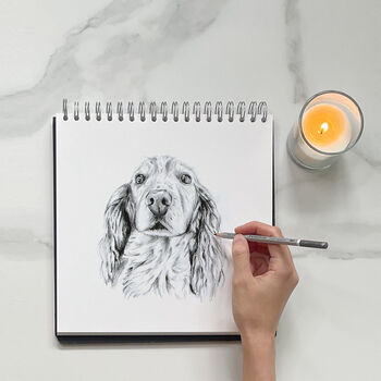 Personalised Pet Portrait Drawing, 10 of 11