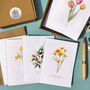 Set Of 10 Different Wildflower Notecards And Envelopes, thumbnail 6 of 7
