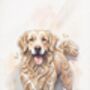 Dog Portrait, thumbnail 3 of 4