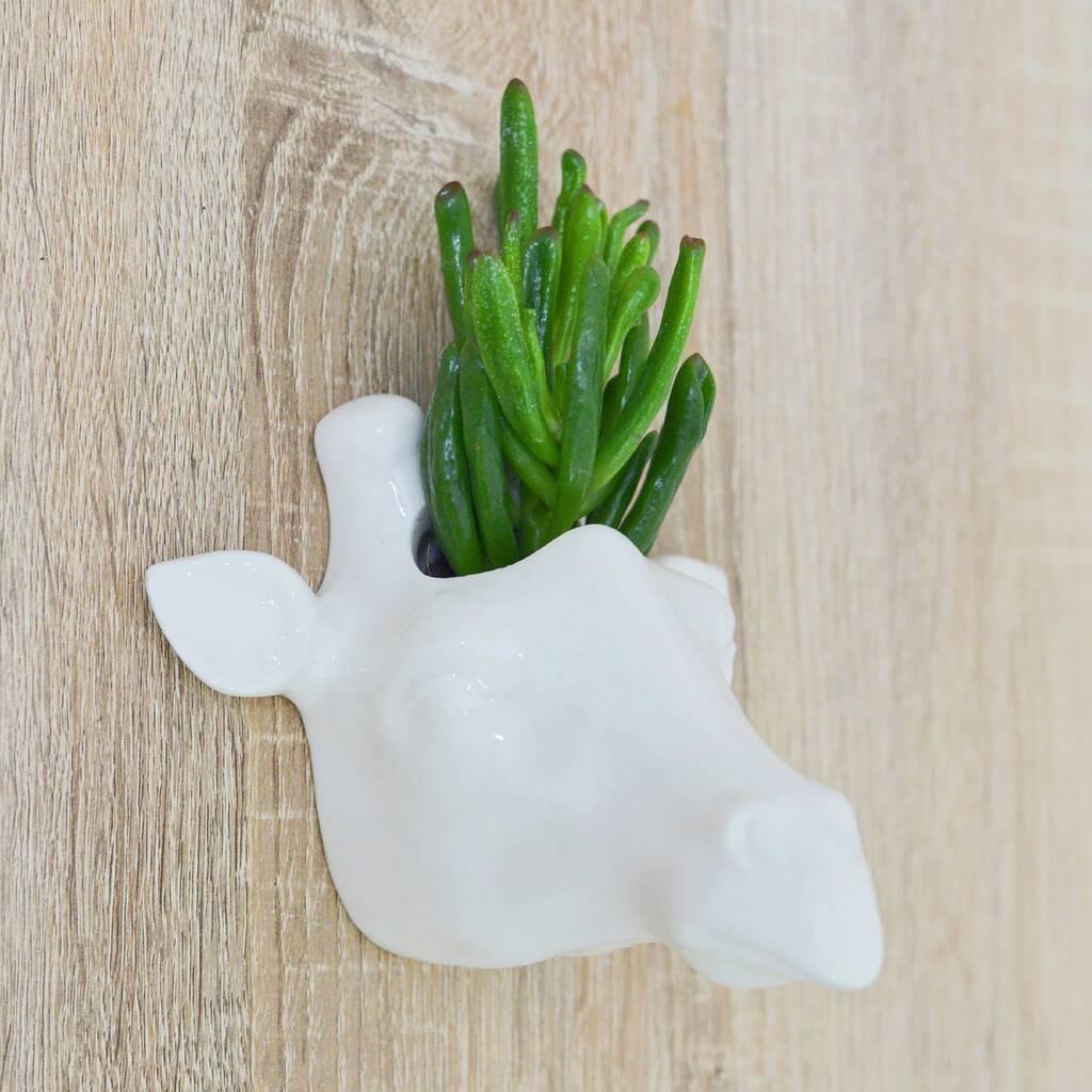 giraffe head planter