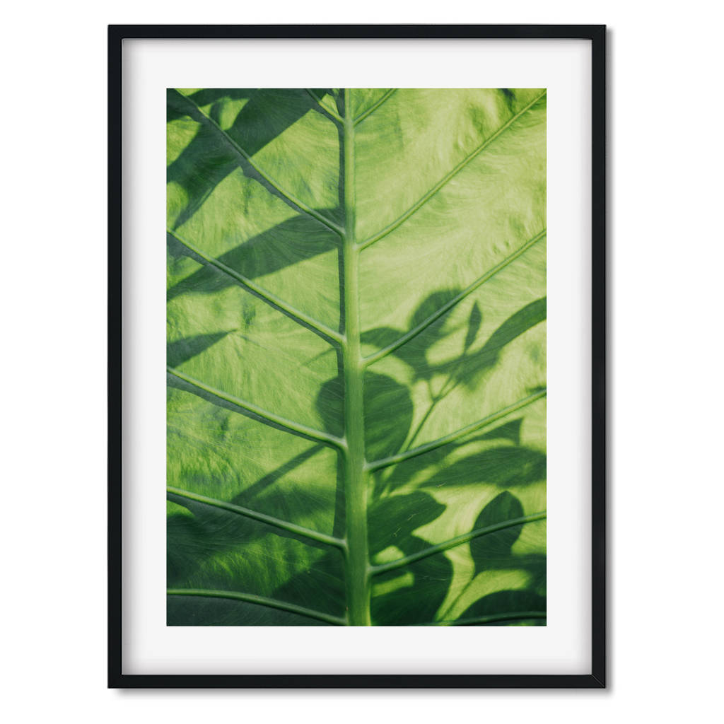 Green Leaf Botanical Art Print Nature Modern Framed Art By Abstract ...