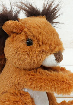 Red Squirrel Snuggly Soft Toy, From Birth, Boxed, 4 of 8
