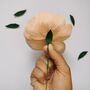 Paper Flower Craft Kit: Juliet Rose, thumbnail 5 of 7