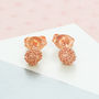 Bubble Rose Gold Plated Silver Tiny Ball Stud Earrings, thumbnail 1 of 7