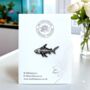 Small Shark Skeleton Hard Enamel Pin Badge, Fishing, Sealife And Marine Gifts, thumbnail 1 of 8
