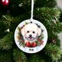 Personalised Pet Bichon Frise Dog Bauble, thumbnail 1 of 1